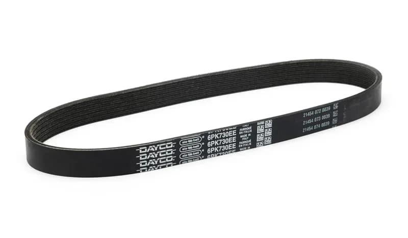 Dayco Correas Poly-V elásticas